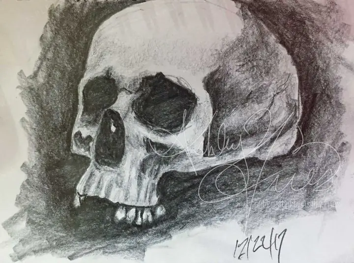 Skull Study