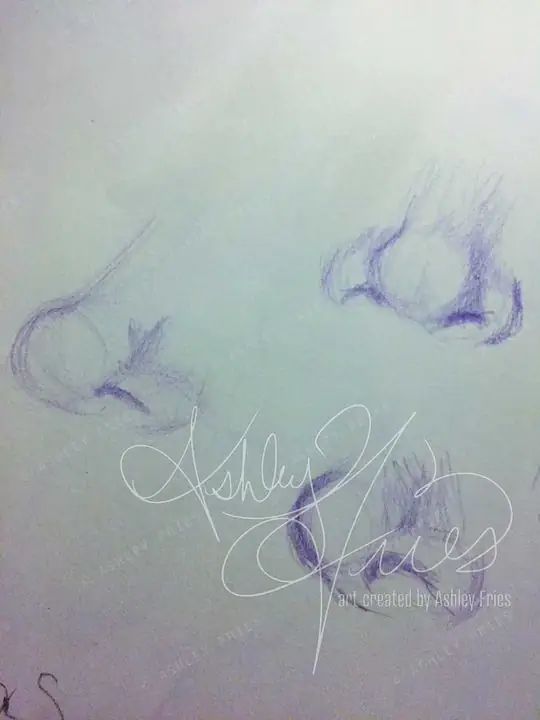 Study of Noses
