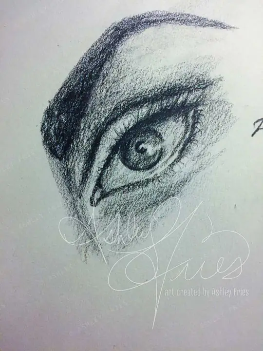 Study of Eye