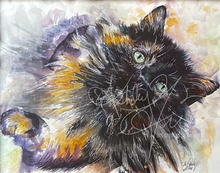 Watercolor cover